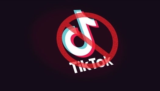 TikTok và việc lan truyền nội dung độc hại ẩn sau những trào lưu